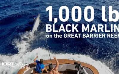 Episode 6 | The Catch Of A Lifetime