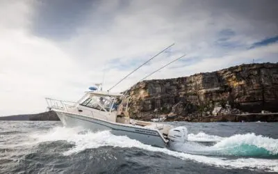 Short Stories: Dan And His Grady-White Marlin 300