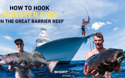 Episode 14 | How To Hook Monster Fish