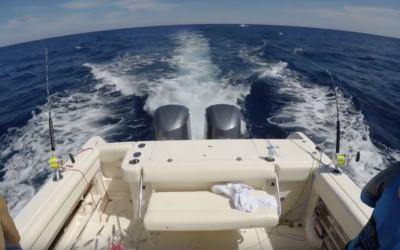 Must Watch: Blue Marlin Vs Grady-White 300 Marlin!